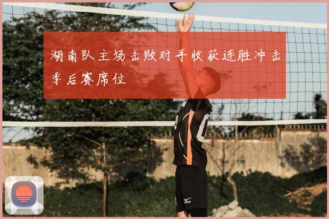 湖南队主场击败对手收获连胜冲击季后赛席位