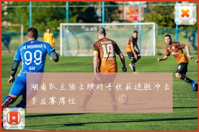 湖南队主场击败对手收获连胜冲击季后赛席位