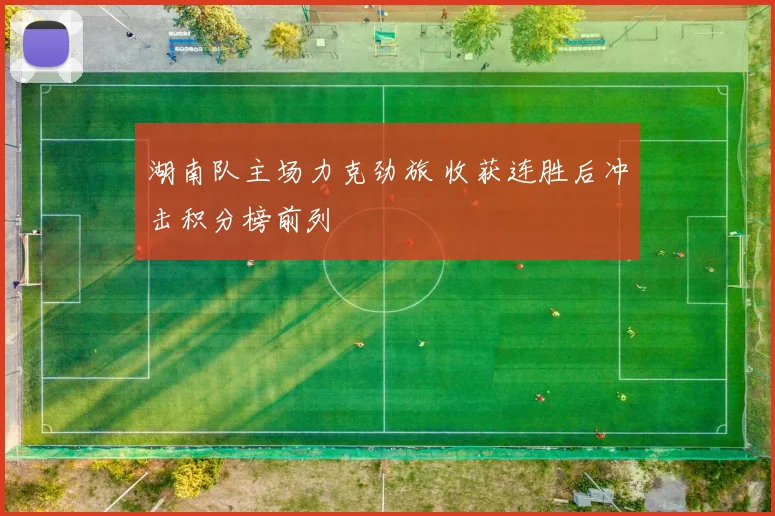 湖南队主场力克劲旅 收获连胜后冲击积分榜前列