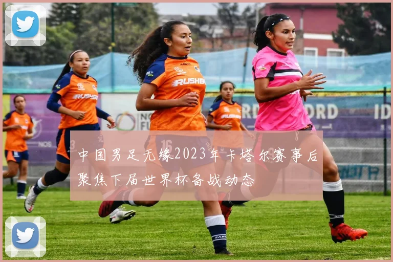 中国男足无缘2023年卡塔尔赛事后聚焦下届世界杯备战动态