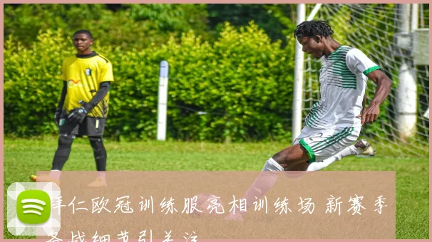 拜仁欧冠训练服亮相训练场 新赛季备战细节引关注