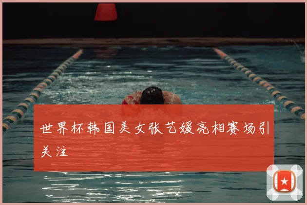 世界杯韩国美女张艺媛亮相赛场引关注