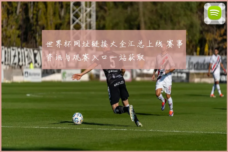 世界杯网址链接大全汇总上线 赛事资讯与观赛入口一站获取